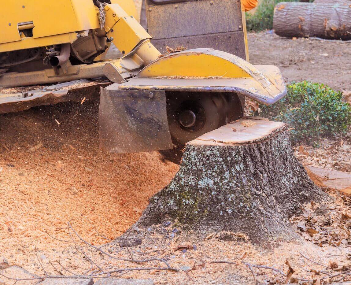 Stump Grinding